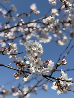 ������ 2025.jpeg