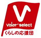 logo_valor_select.png